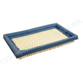 Le modèle de Filtre à air de tondeuse Lawn Boy - 613361 - FGP011796