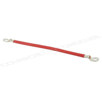 Le modèle de Câble de batterie rouge 20 cm 2 œillets de 12,7 mm - FGP012065