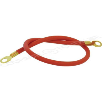 Le modèle de Câble de batterie rouge 50 cm 2 œillets - FGP012070