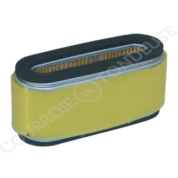 Le modèle de Filtre à air de tondeuse ovale - 12191-11220 - FGP012680