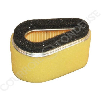 Le modèle de Filtre à air de tondeuse Kawasaki - 11013-2175 - FGP014105