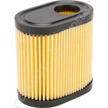 Le modèle de Filtre à air de tondeuse Tecumseh - 36905 - FGP014131