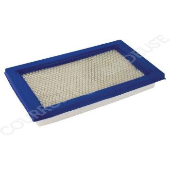 Le modèle de Filtre à air de tondeuse Kawaski - 11013-7017, MIU10998, 5313081-57, 2153800 - FGP014149