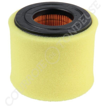 Le modèle de Filtre à air de tondeuse - 2625 010 000, SA12863 - FGP014185