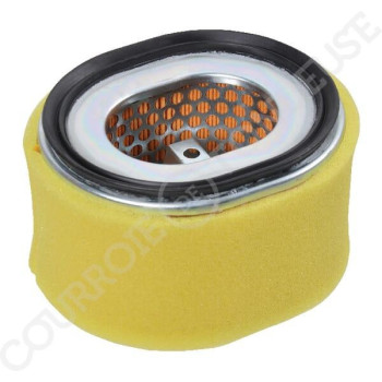 Le modèle de Filtre à air de tondeuse Yanmar - 114210-12590 - FGP014565