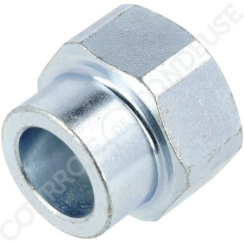 Le modèle de Adaptateur M10x1 - 5070026 - FGP015295