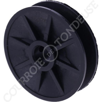 Le modèle de Galet adapté pour Castelgarden 122601909/0, 22601909/0 - FGP430145