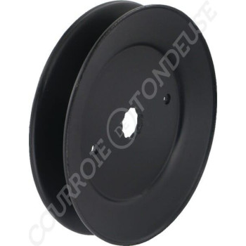 Le modèle de Poulie de tondeuse courroie trapézoïdale AYP 173434, 153531 - FGP455882