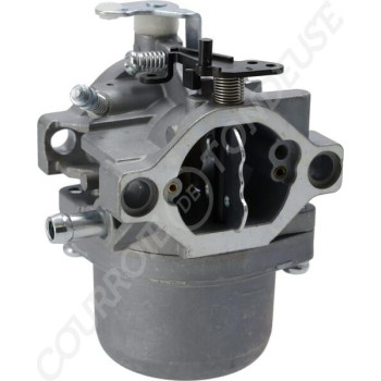 Le modèle de Carburateur adaptable Briggs & Stratton 799728 - FGP456451