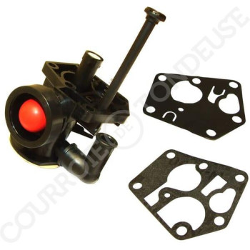 Le modèle de Carburateur adaptable Briggs & Stratton 498809 - FGP456483