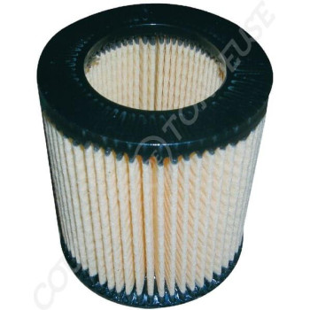 Le modèle de Filtre à air de tondeuse As-motor - E07545 - FGP456566