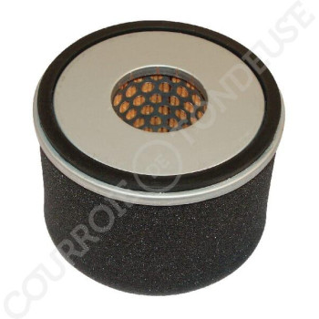 Le modèle de Filtre à air de tondeuse Kubota - 12451-11080 - FGP456615