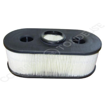 Le modèle de Filtre à air de tondeuse ovale - 11013-7031 - FGP456813