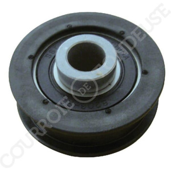 Le modèle de Poulie de tondeuse courroie trapézoïdale AYP 166043 - FGP456844