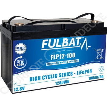 Le modèle de Batterie de tondeuse FLP12-100 - 12V 100Ah Lithium - FLP12100