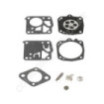 Kit réparation de carburateur Tillotson RK-35HS