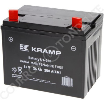 Le modèle de Batterie de tondeuse 12V 24Ah 250A - U19BKR