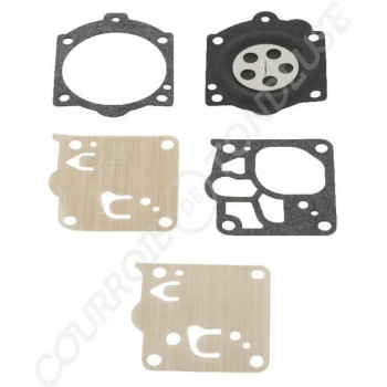 Le modèle de Kit réparation de carburateur Tillotson D10-WJ - WDG10WJ