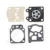 Kit réparation de carburateur Tillotson D10-WTA