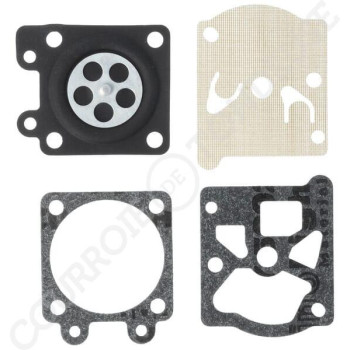 Le modèle de Kit réparation de carburateur Tillotson D10-WTE - WDG10WTE