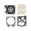Kit réparation de carburateur Tillotson D10-WTE