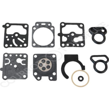 Le modèle de Kit réparation de carburateur Tillotson D10-WZ - WDG10WZ