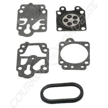 Le modèle de Kit réparation de carburateur Tillotson D20-WYA - WDG20WYA