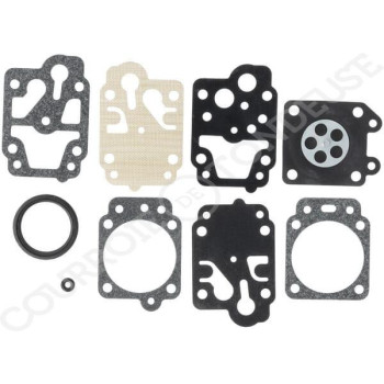 Le modèle de Kit réparation de carburateur Tillotson D20-WYJ - WDG20WYJ