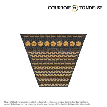 Le modèle de Courroie trapézoïdale crantée XPA2032 - XPA2032-CONTITECH