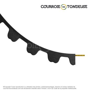 Le modèle de Courroie dentée simple 856-S8M12 - 856-S8M12