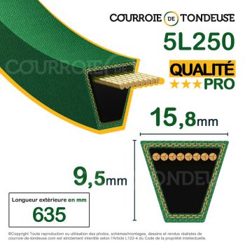 Le modèle de Courroie renforcée kevlar pour tondeuse 5L250 qualité pro - 5L250-HQ