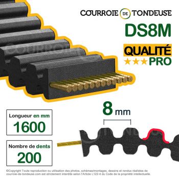 Le modèle de Courroie tondeuse double dentée 1600-S8M18DD qualité pro - 1600-S8M18DD-HQ