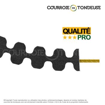 Le modèle de Courroie tondeuse double dentée 2800-S8M20DD qualité pro - 2800-S8M20DD-HQ