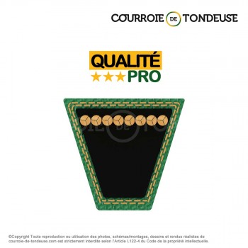 Le modèle de Courroie pour coupe secondaire VERTS LOISIRS 532180808 - 5L890-HQ