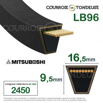 Le modèle de Courroie de coupe SCM54 (137cm) ISEKI (YVAN BEAL) 8659-203-001-00 - LB96