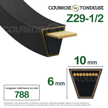 Le modèle de Courroie EUROSYSTEMS 321005190 - 321005194 - Z29-1/2