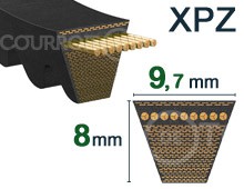 Nos modèles de RALLY