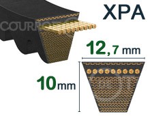 Nos modèles de RALLY