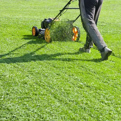 Courroie de Tondeuse et QualiRépar : des pièces de qualité pour faciliter la réparation de vos équipements de jardin