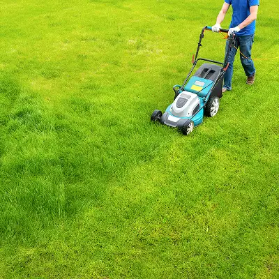 Compatibilité des courroies en usage intensif : quels critères privilégier ?