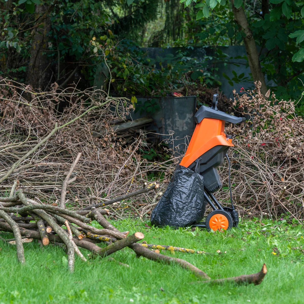 Comment choisir la courroie idéale pour votre broyeur à végétaux ?